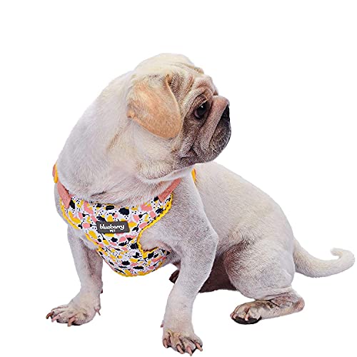Soft & Comfy Made Well Blooming Floral No Pull Mesh Puppy Dog Harness Vest in Creamy White ((14" - 16") Chest Girth (Pack of 1) / Creamy White)