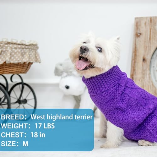 Turtleneck Dog Sweater (Small/Medium / Purple)