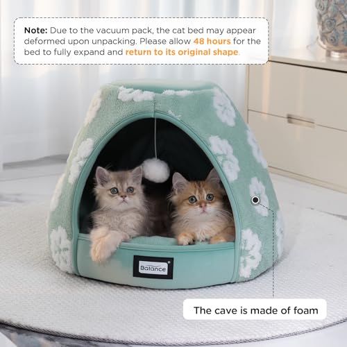 Cat Beds for Indoor Cats (21"L x 21"W x 16"Th / Green)