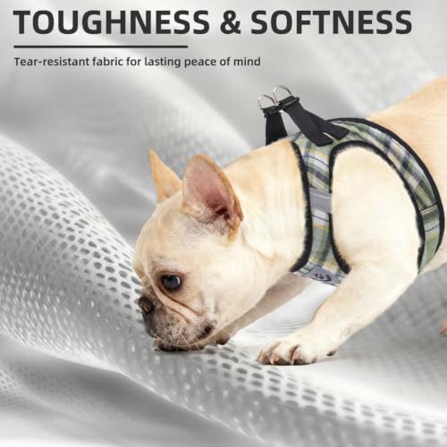 Dog Harness Collar and Leash Set No Pull for Small Medium Sized (Yellow Green / XL (CHEST 20"-22"))