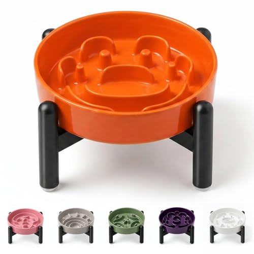 Elevated Slow Feeder Dog Bowl (Orange / S（1 Bowl with Stainless Steel Stand）)