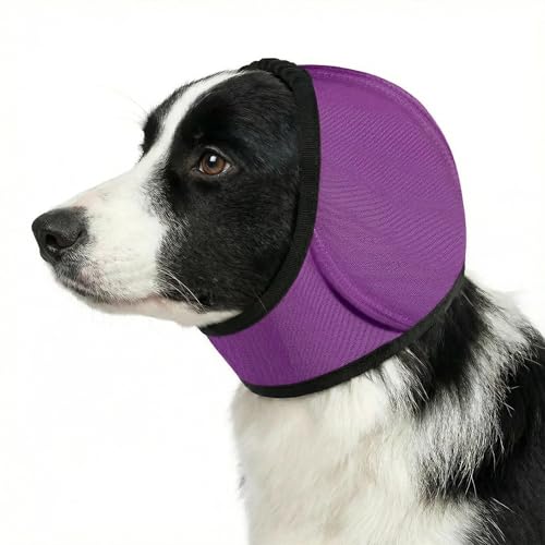 No Flap Ear Wraps for Dogs (Purple / S)