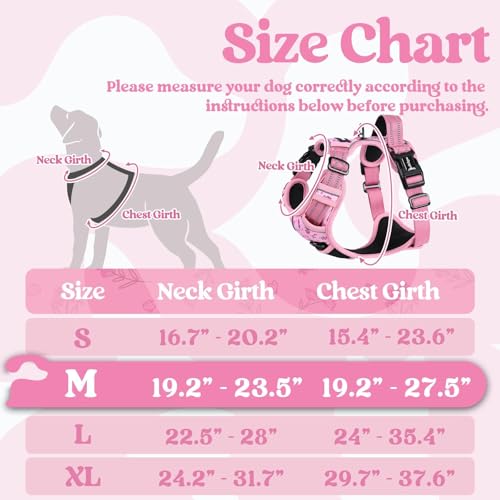 Dog Harness Medium Sized (Medium / Floral Pink)