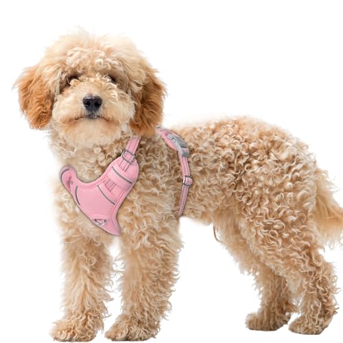 Dog Harness for Small Sized Dog No Pull Dog Vest ID Tag Pocket (Baby Pink / X-Small)