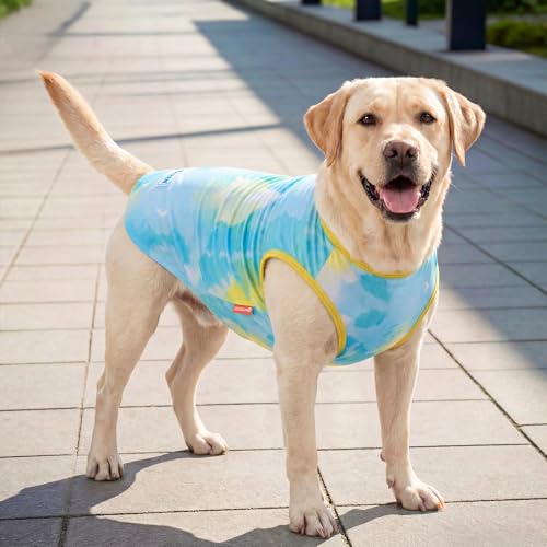2Pack Dog Shirt for Large Dogs Soft Breathable T (XXX-Large (55-75lbs) / Purple+Blue)