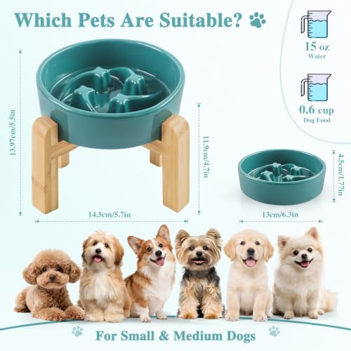 6.3” Elevated Slow Feeder Dog Bowls (Dark Green-M)