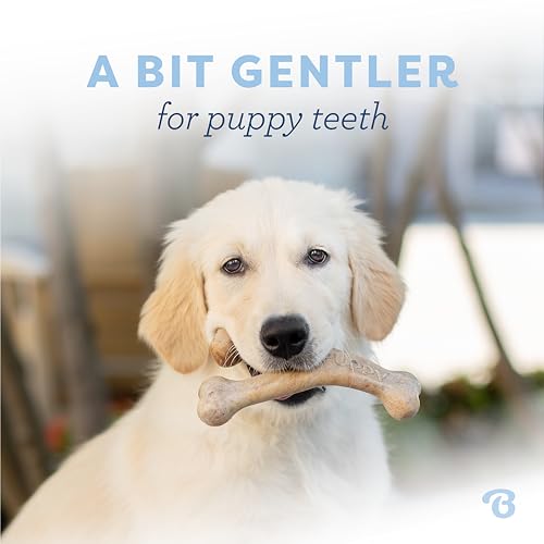 Puppy Wishbone Dog Chew Toy for Gentle Chewers (Puppy Medium)