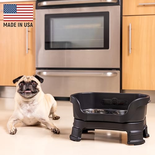 Neater Feeder Deluxe Mess (Small + Standard Bowl / Midnight Black)