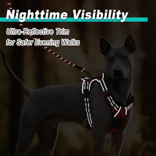 Dog Harness for Large Dog No Pull 2 Leash Clips Dog Vest (X-Large / Red)