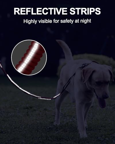 Tactical Bungee Dog Leash (Red)
