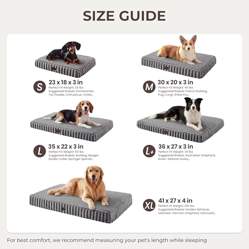 Dog Bed Small Sized for Crate (Grey / S(23x18x3"))