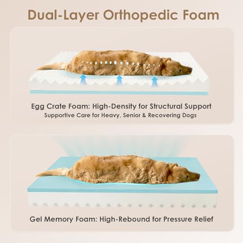 Orthopedic Dog Bed for Large Dog (Purple / 36x27x7)