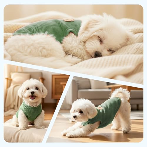 Dog Clothes for Small Dogs (Green&Blue&Purple / Medium(4.1-9lb))