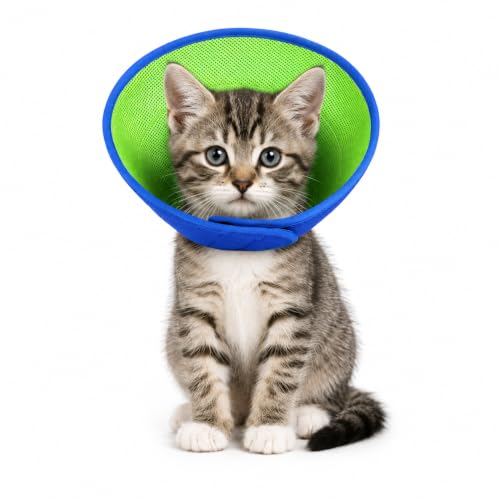 Soft Dog Cone Collar (Blue / XXS)