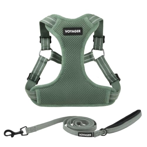 Voyager Adjustable Step (Harness Leash Set (Moss Green) / XL)