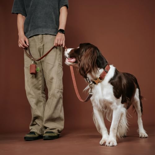 PU Leather Dog Leash for Medium Dogs (Reddish Brown / 3/4''x 5FT)