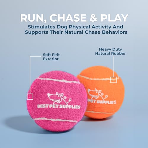Interactive Squeaky Dog Chew Toy (Tennis (Assorted Color) / Large (Pack of 4))