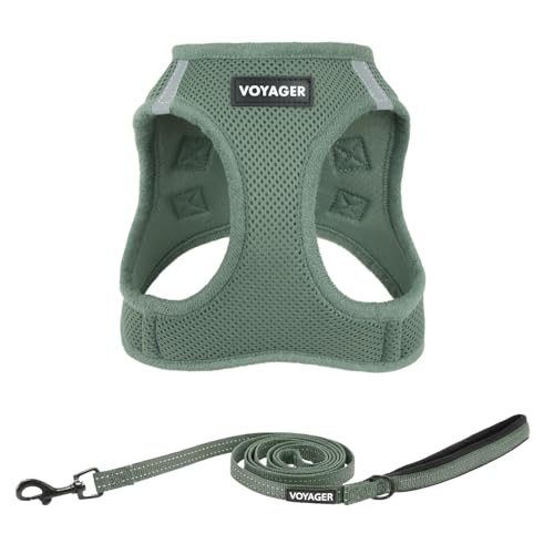 Voyager Step in Air All Weather Mesh Harness and Reflective Dog 5ft Leash Combo with Neoprene Handle (Moss Green / XXS (Chest: 12 - 13.5"))