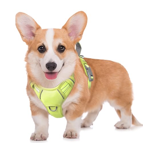 Dog Harness for Medium Sized Dog No Pull Dog Vest ID Tag Pocket (Sunlight / Medium)