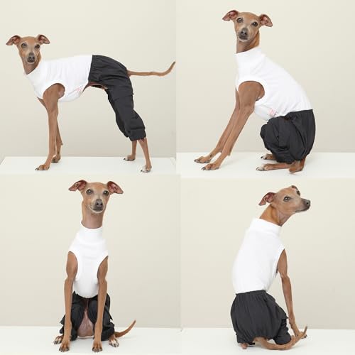 D Doggy Star Italian Greyhound Clothes Cargo Pants Onesie Outfit Whippet for Dog Coat (M / Navy Cargo)