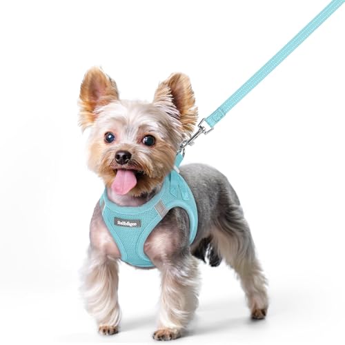 Dog Harness Small Sized and Leash Set (Mint Blue / Xs (chest: 13.3 - 15.5"))