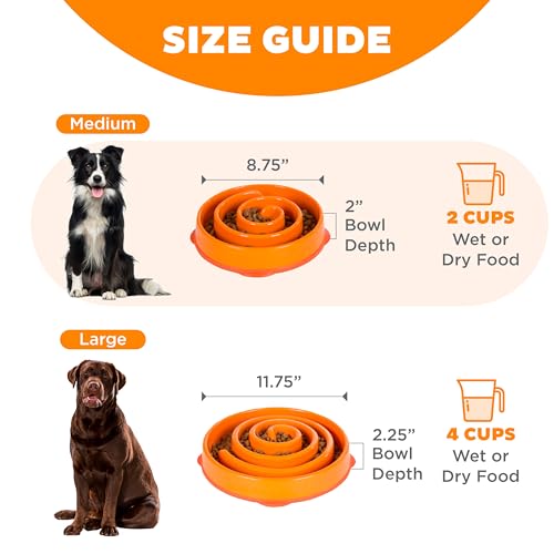 Fun Feeder Slo Bowl (Orange / Medium)