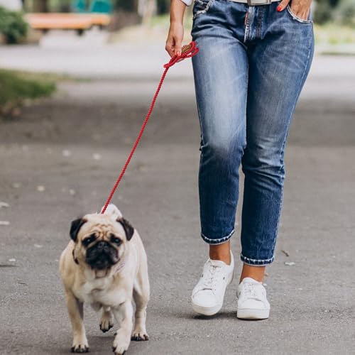 Dog Leash Braided Cotton Rope with Leather (Red / 72 Inch-1/3")