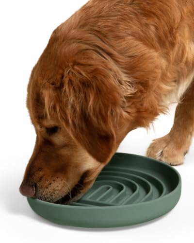 Slow Feeder Dog Bowl (Spruce - Rainbow Design / Large (9.5” Across and 1.5” Tall))