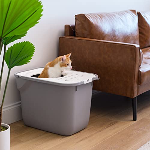 Cat Litter Box (Top Entry / Gray)