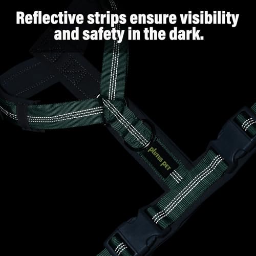 No Pull Dog Harness (XL / Teal)