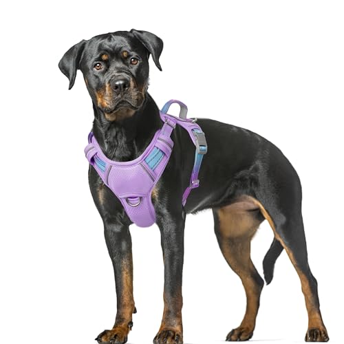 Dog Harness for Large Dogs No Pull Dog Vest ID Tag Pocket (Lavender Sky / X-Large)