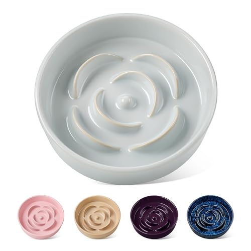 Slow Feeder Dog Bowls (S - 0.6 Cups / Grayish Cyan)