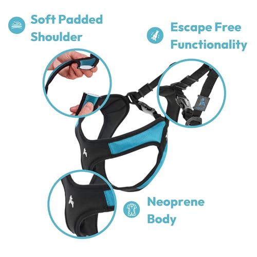 Escape Free Easy Fit Dog Harness (Small chest (16~19.25") / Black)