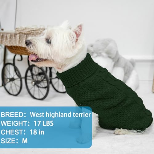 Turtleneck Dog Sweater (X-Small / Dark Green)
