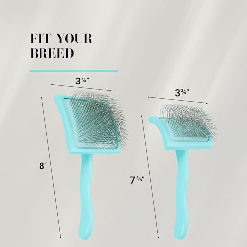 Big G Dog Slicker Brush for Dogs (Large / Teal)