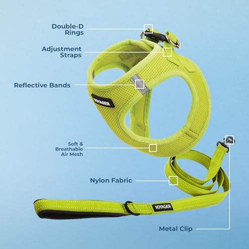 Voyager Step in Air All Weather Mesh Harness and Reflective Dog 5ft Leash Combo with Neoprene Handle (Lime Green / XXXS (Chest: 11 - 12"))
