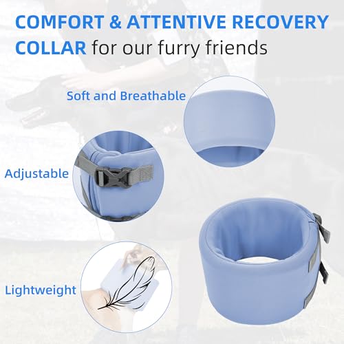 Dog Neck Brace for Pet After Surgery Recovery Adjustable Breathable Neck Cervical Cone (Blue / XL)