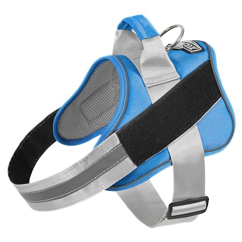 Dog Harness No (Large (Pack of 1) / BluePool)