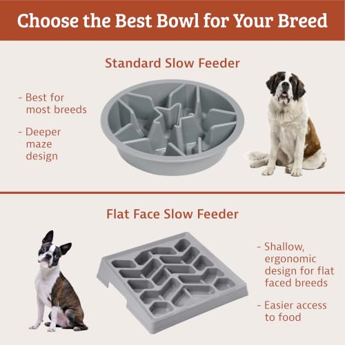 Raised PET FEEDERS Slow Feed Dog Bowl (4 Cup / Gray)