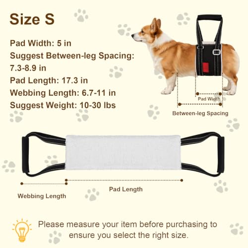 Leather Dog Lift Harness for Small Dogs (S)