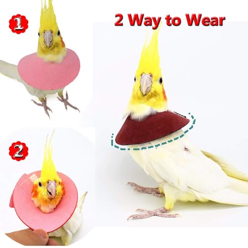 4Pack Parrot Anti (XL - Suitable for Monk Parakeet)