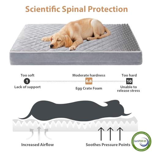 Orthopedic Waterproof Dog Bed Medium for Comfy Sleeping (Light Grey / 30"L x 20"W x 3"Th)