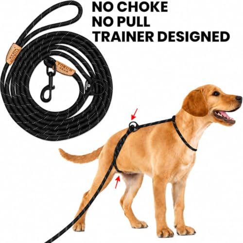 12ft No Pull No Choke Leash Long Rope Dog Leash (12 Ft / BLACK)