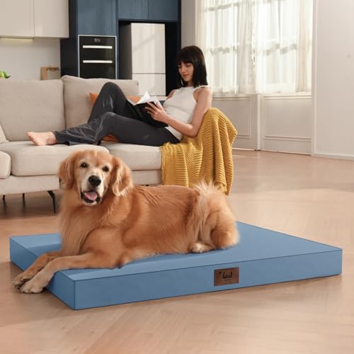 Outdoor Waterproof Orthopedic Dog Bed for Medium Size Dogs (Blue / 35.0"L x 22.0"W x 3.0"Th)