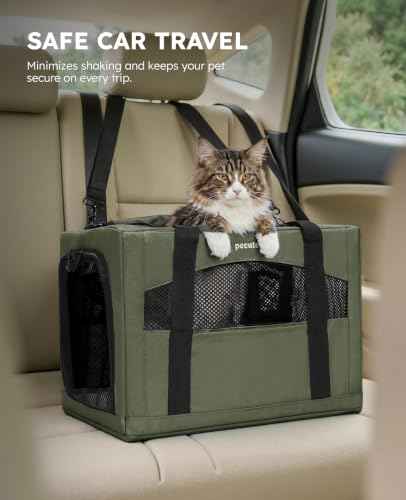 Cat Carrier Stable (Green / 19.6"L x 14.9"W x 13.7"H)