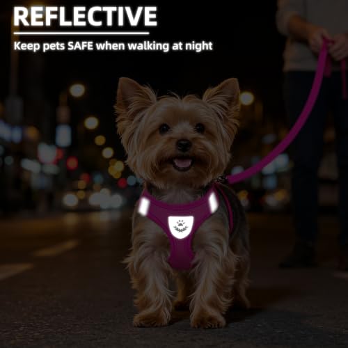 Dog Harness Collar and Leash Set No Pull for Small Medium Sized (Solid DeepPink / M (CHEST 16"-18"))