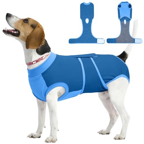 Dog Recovery Suit (Blue / Medium)
