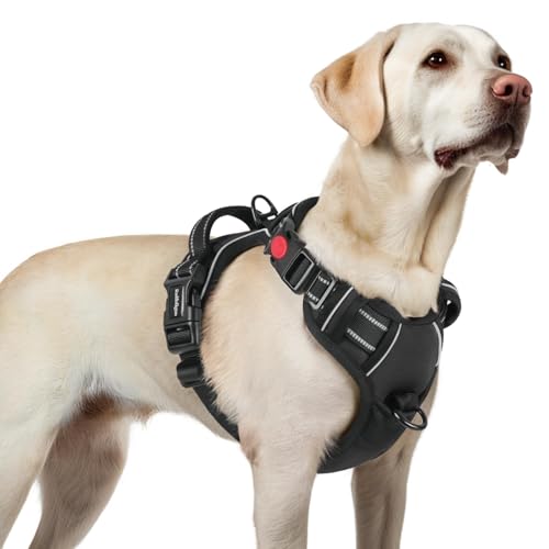 Dog Harness for Large (Large / Black)