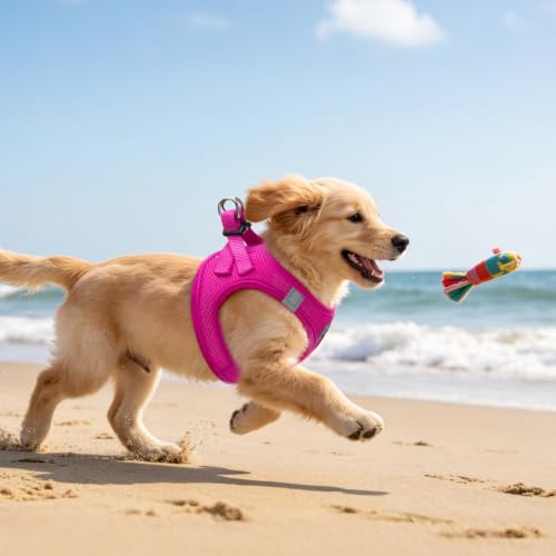 Dog Harness Collar and Leash Set No Pull for Small Medium Sized (Solid DeepPink / S (CHEST 14.5"-16"))