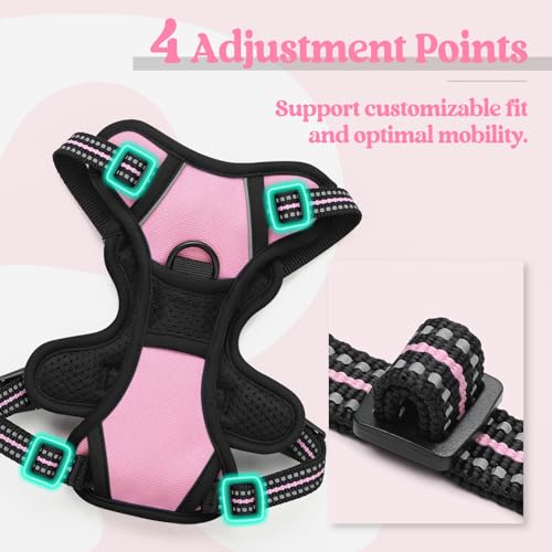 Dog Harness No Pull with 2 Leash Clips (X-Small / Pink)